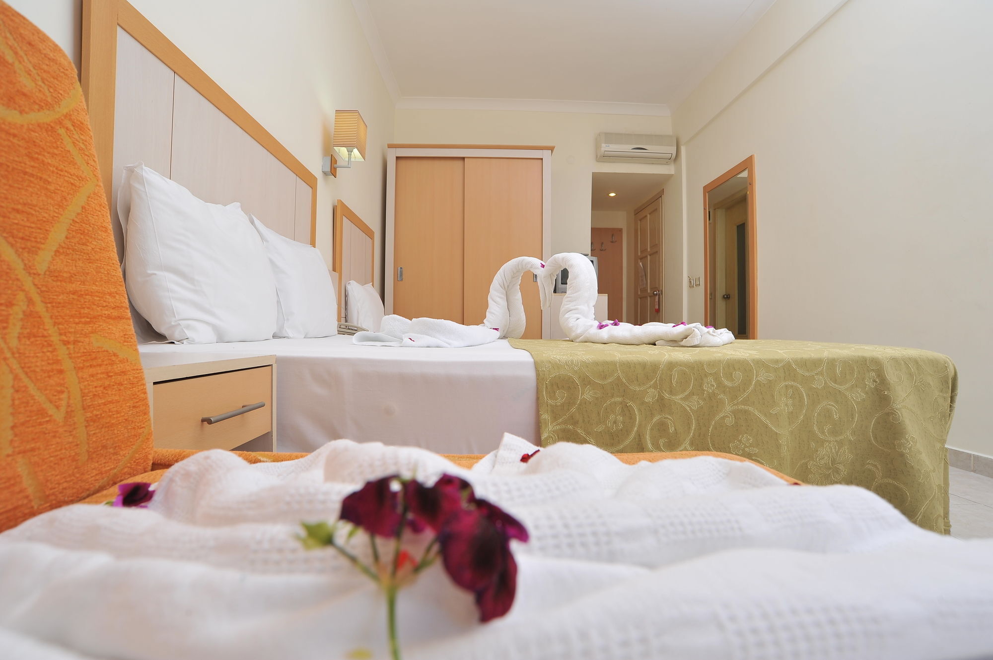 Hotel Cleopatra Golden 4*