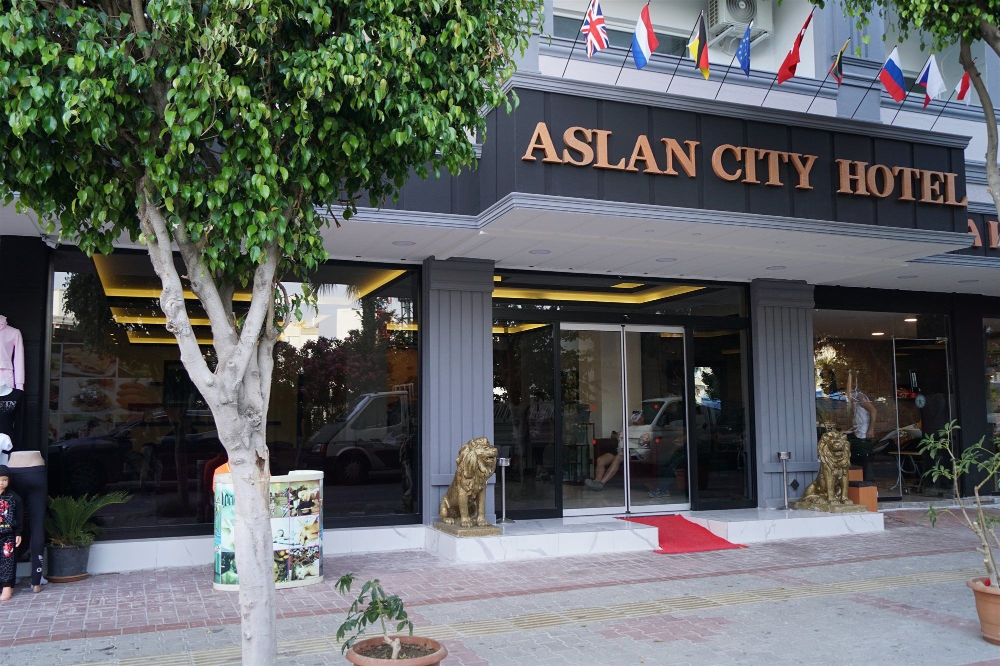 Aslan &