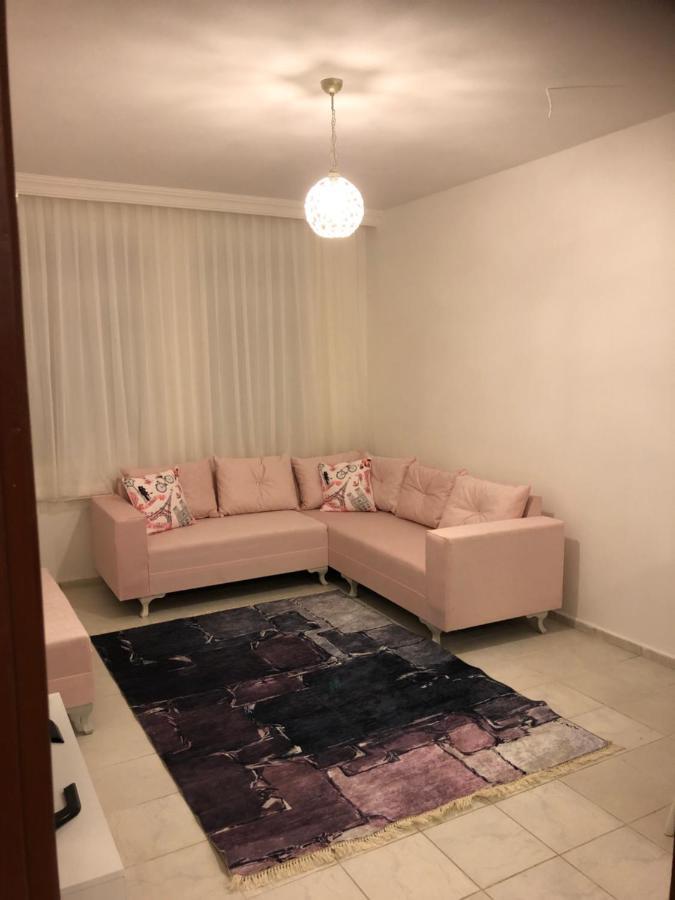 Akpolat 2*