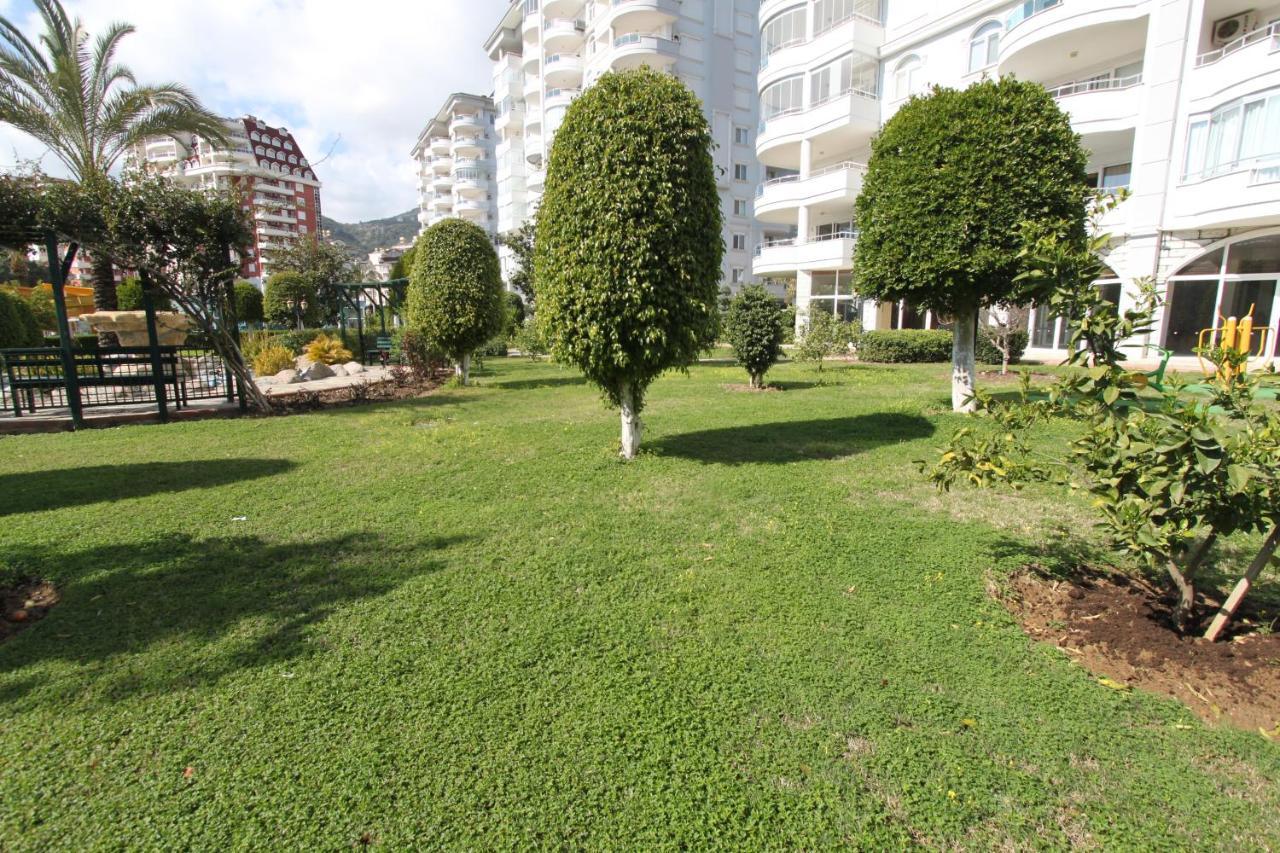 Panorama C I *