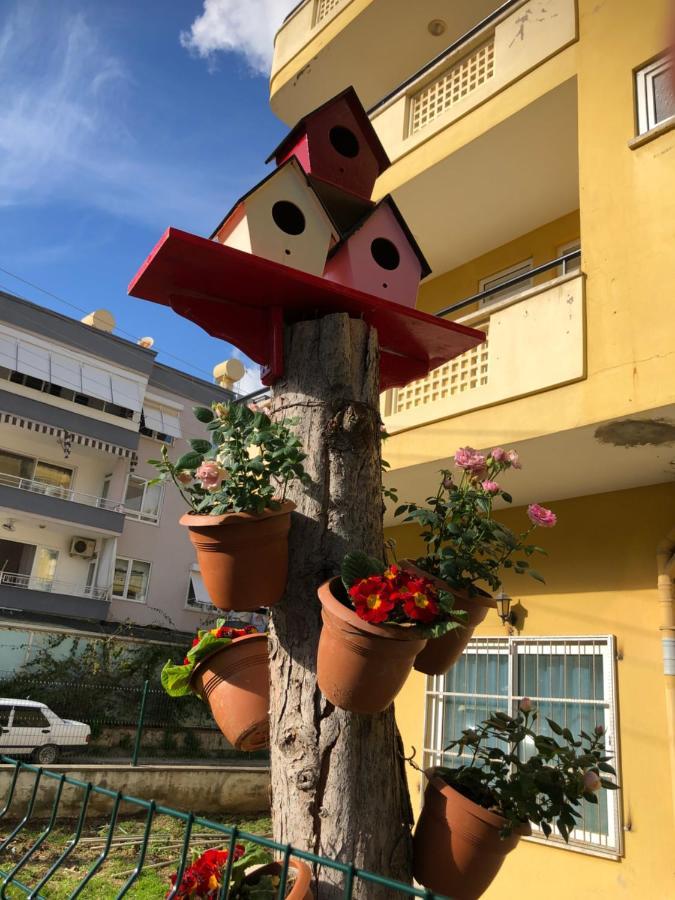 Akpolat Aparthotel 2*