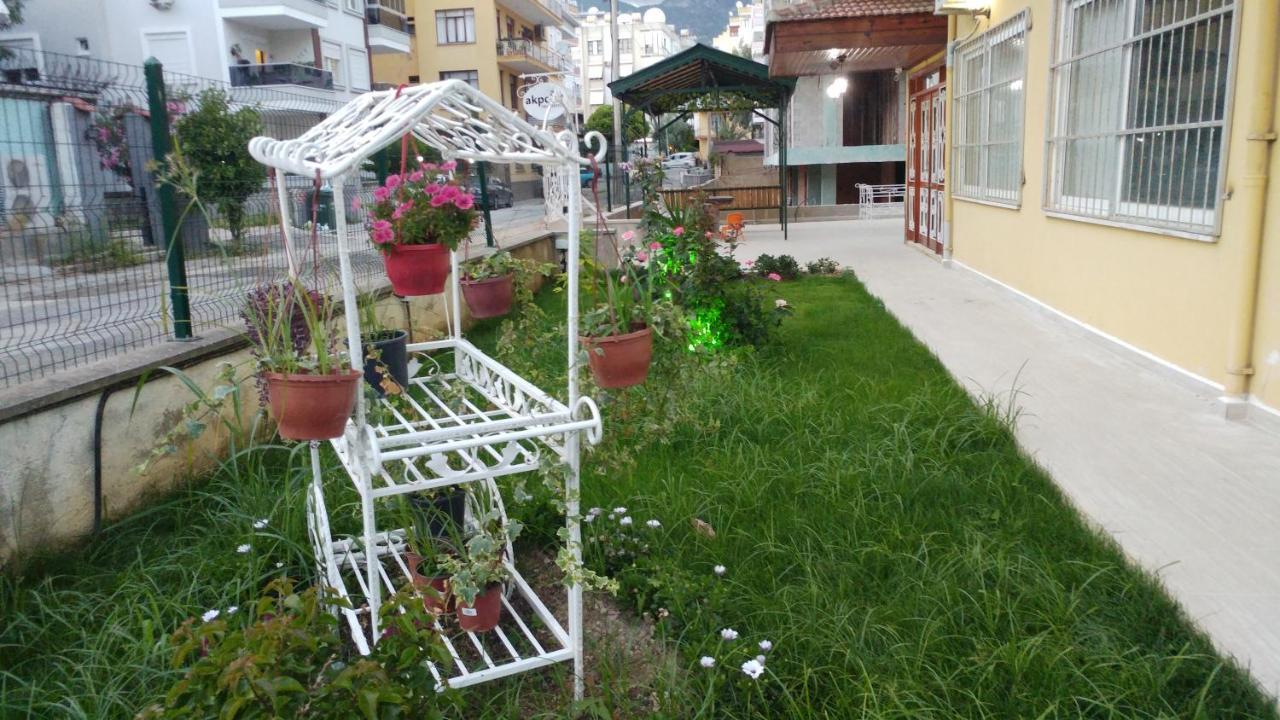 Akpolat 2*