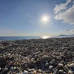 Nerida Beach Homes