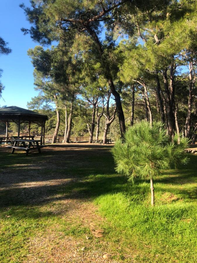 Forest Park Apartment Alanya
