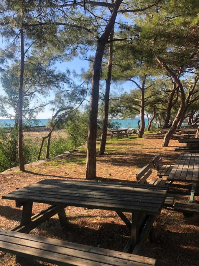 Forest Park Alanya