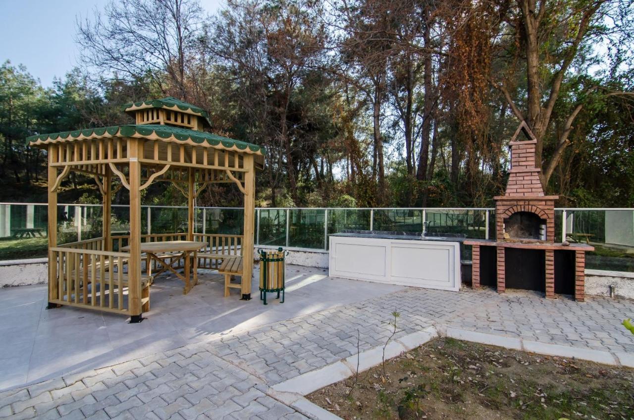Forest Park Apartment