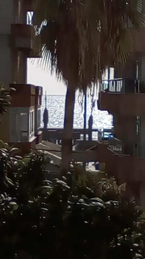 Manolya Apartment. Alanya, Center * Alanya