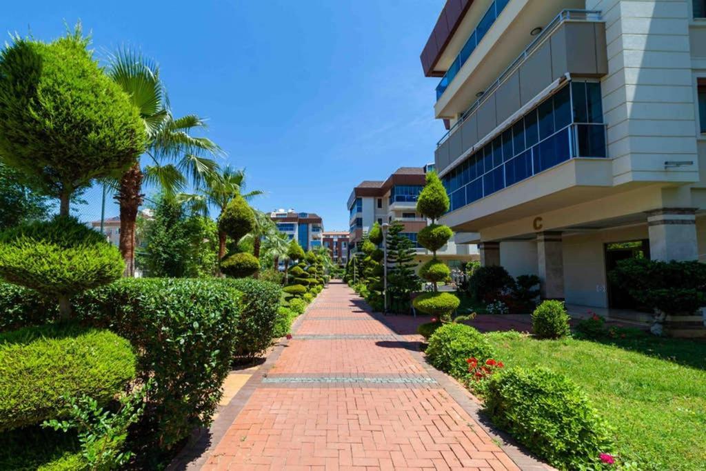 Trio City Blue Apartment *