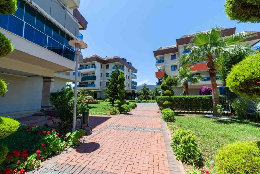 Trio City Blue Apartment