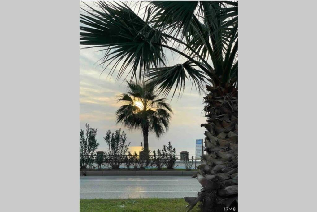 1+1 New Cozy In The Center Of Alanya. Alanya