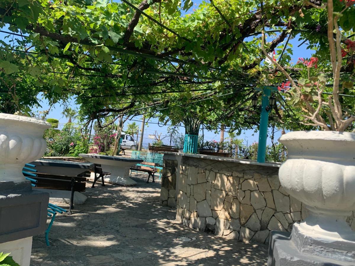 Alva Sitesi Comfortable By The Sea *