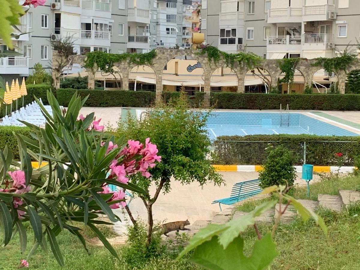 Alva Sitesi Comfortable By The Sea Apartment *
