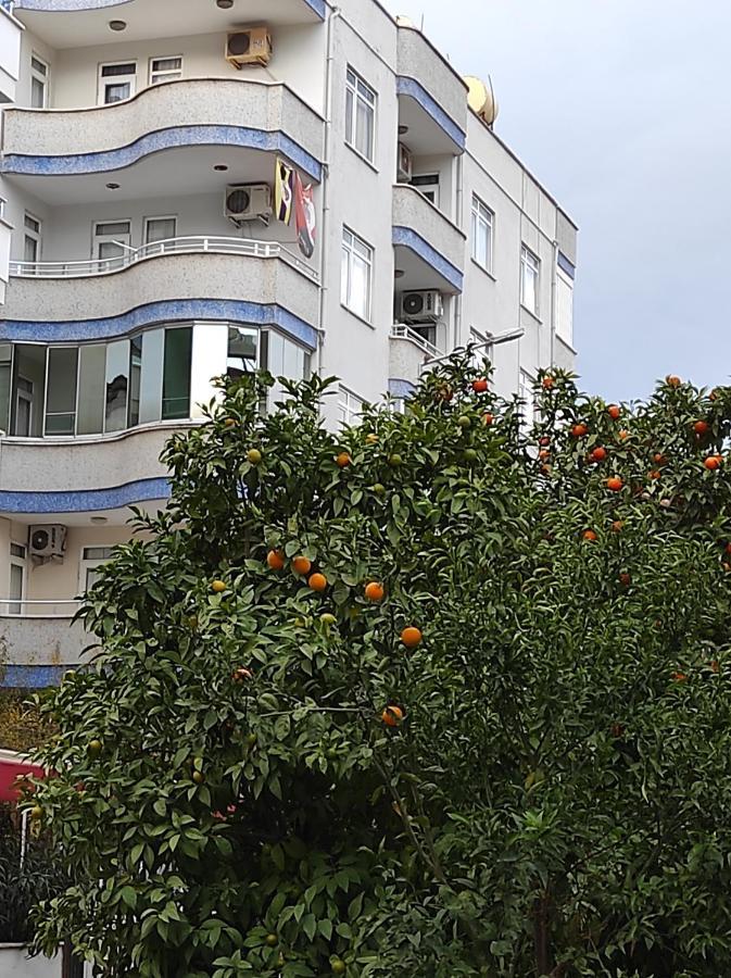 Apartamento Manolya Apartment. Alanya, Center