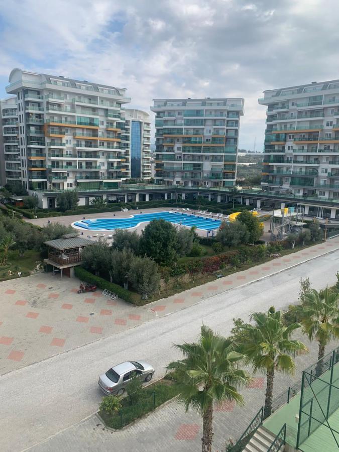 Apartment Siberland Olive Garden