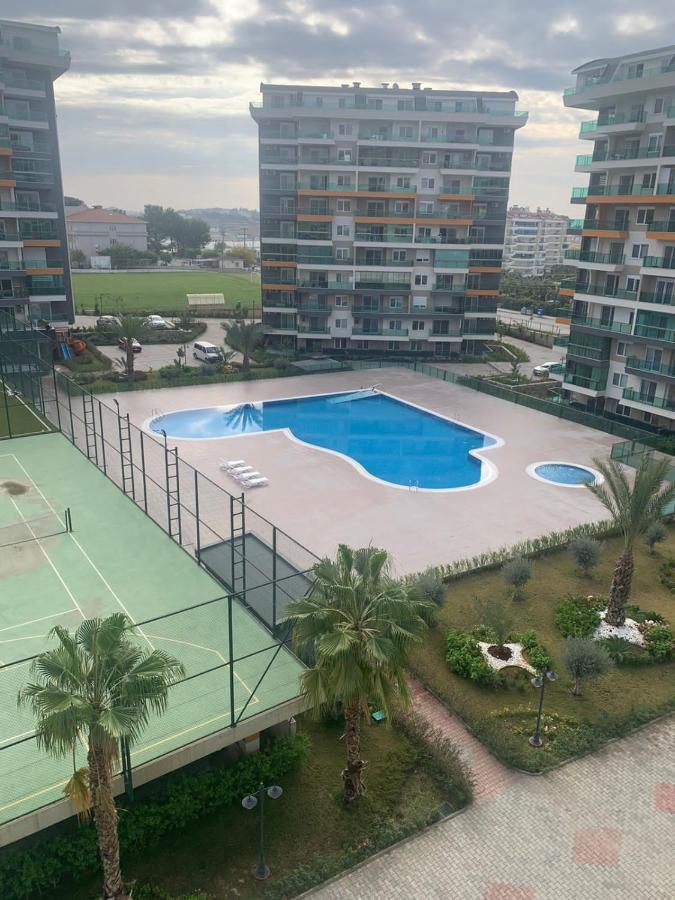 Apartment Siberland Olive Garden