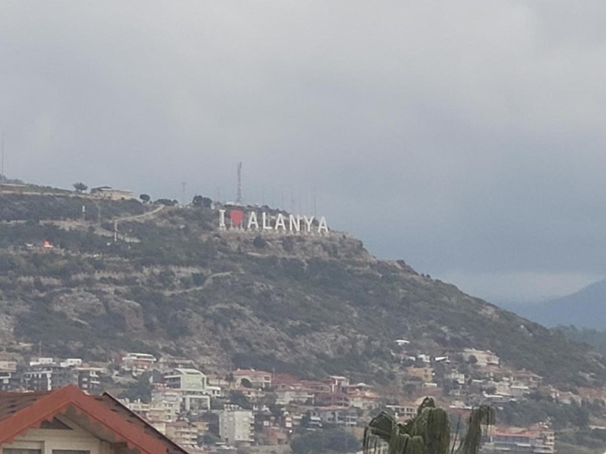 Aura Kleopatra Daire *