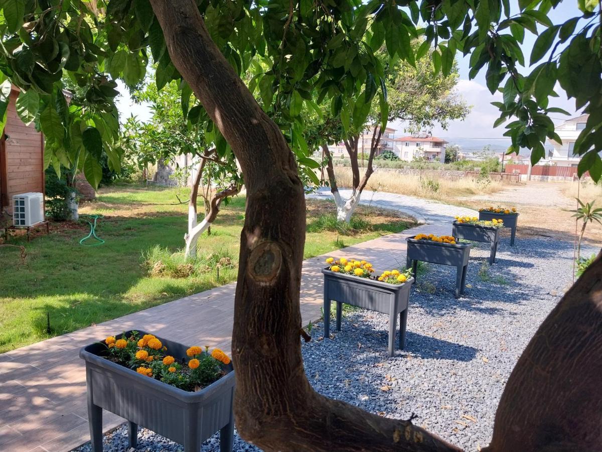 Miss Mandarin Bungalow Evleri * Alanya