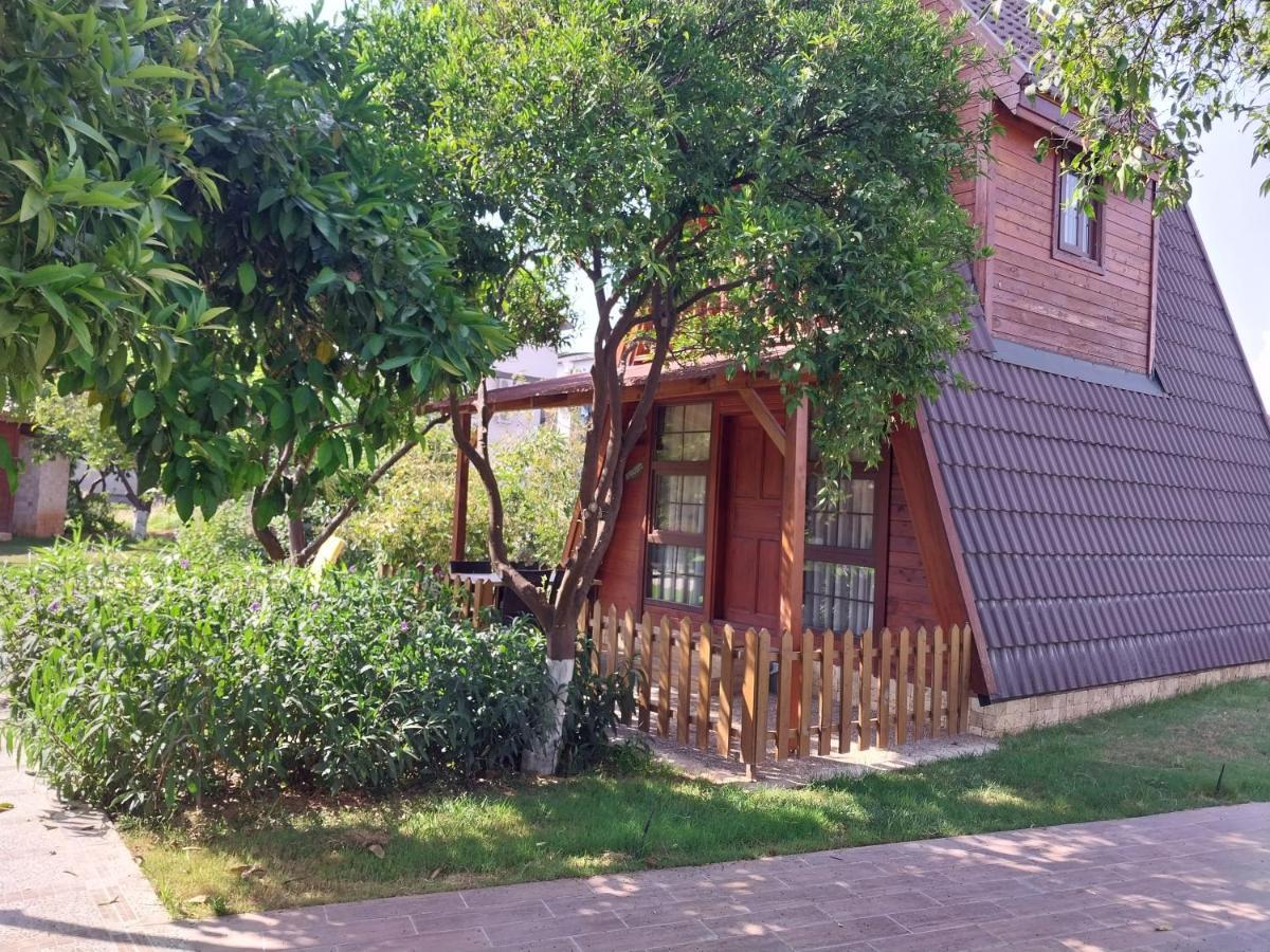 Miss Mandarin Bungalow Evleri * Alanya