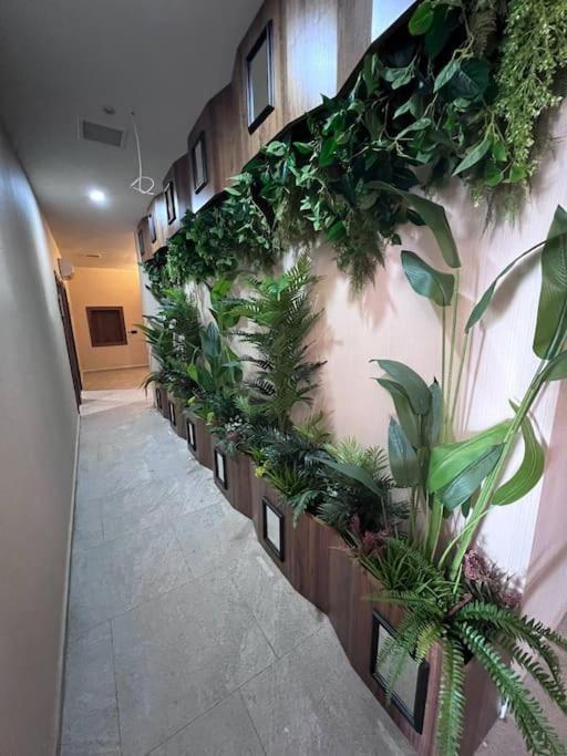 Newly Built 1+1 In Oba Apartment Alanya