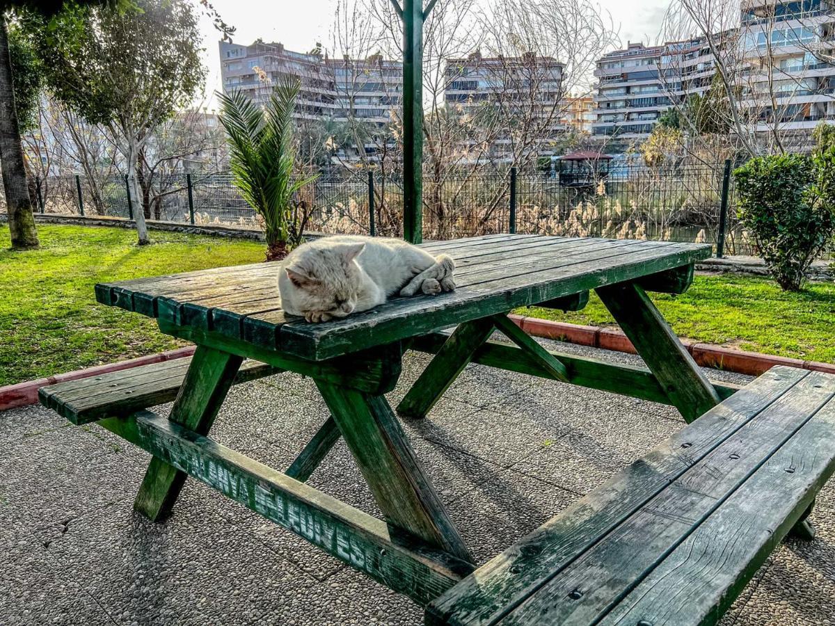 Luxury 7min Walk To Kestel * Alanya