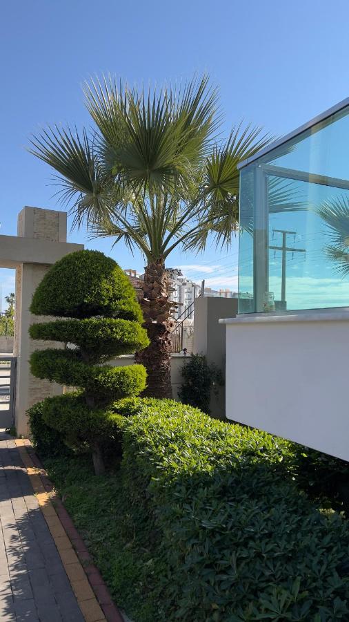Palm Apartment *