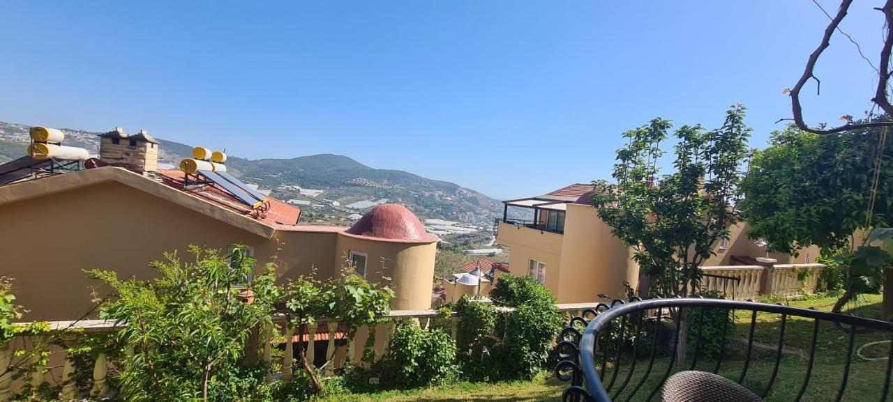 Gold * Alanya