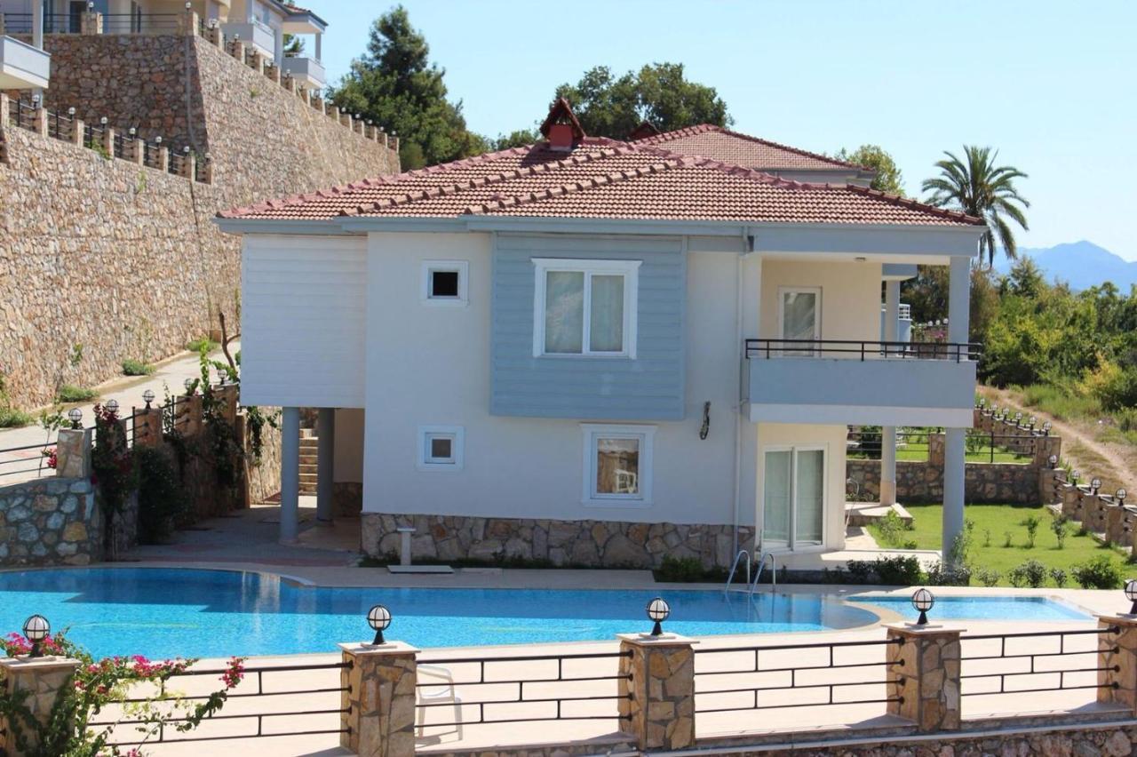 Begon Villa
