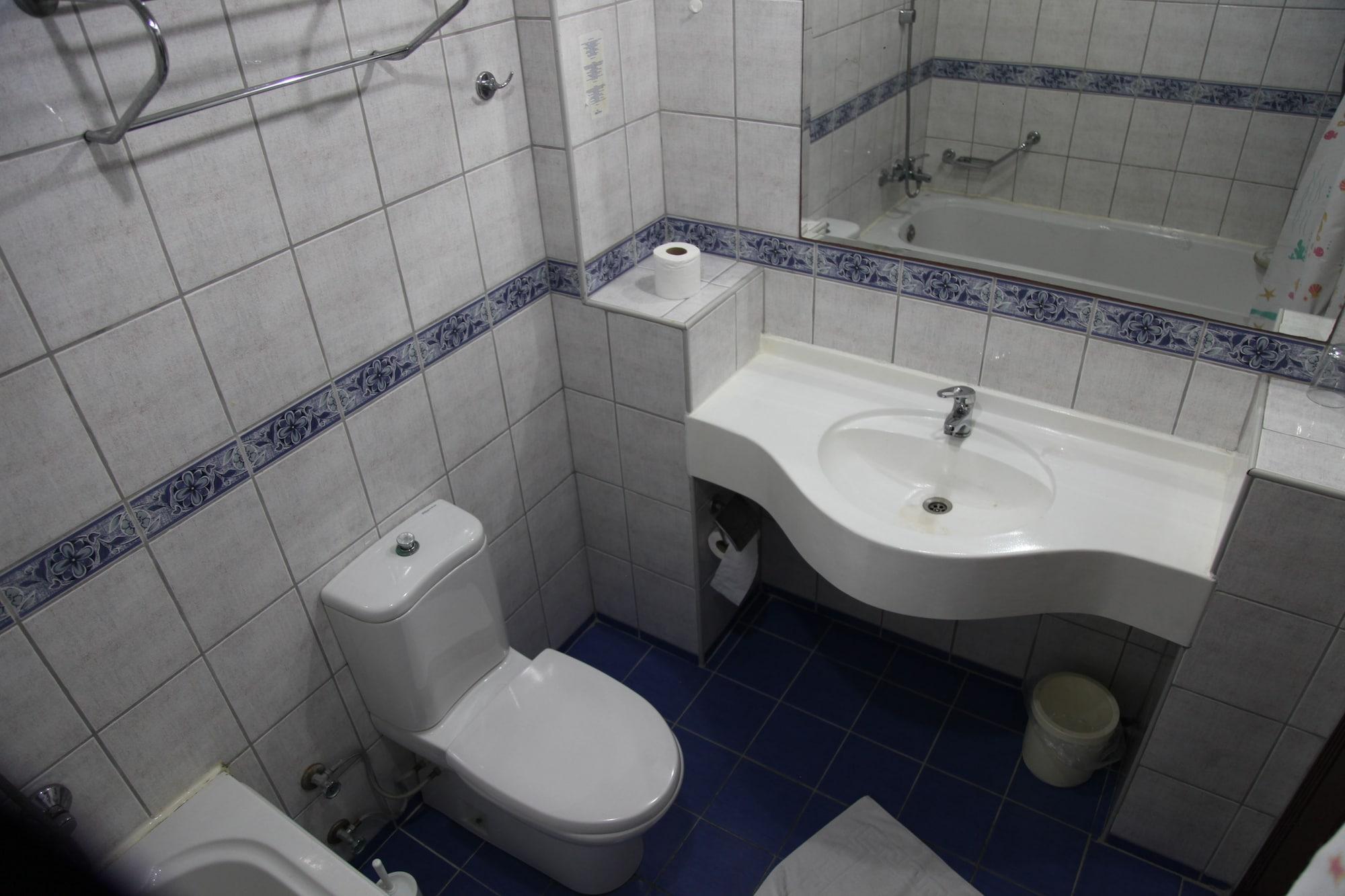 Hotel Alin 3*