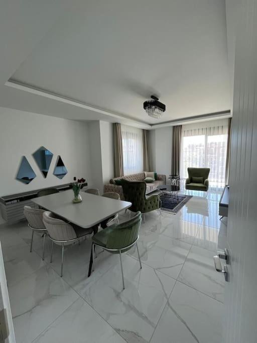 3-1 Duplex 500 Meters To Cleopatra *