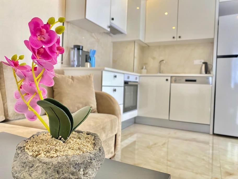 Rose 6 Comfort Living At Cleopatra Daire