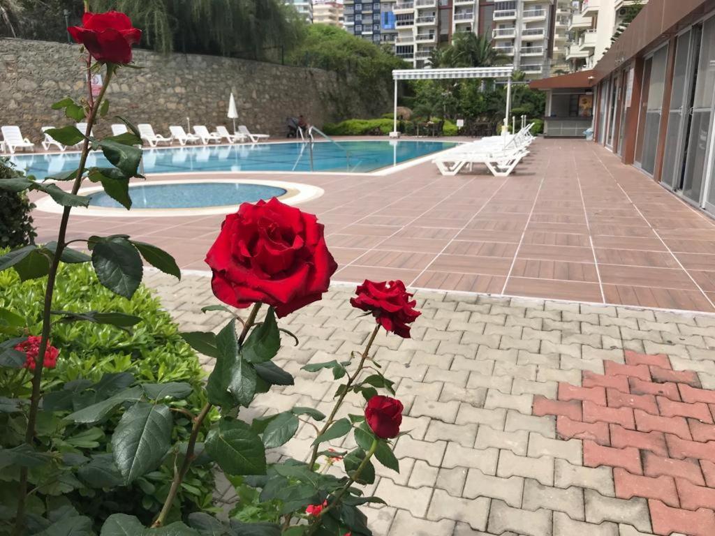 Orion Valley Apartamento *