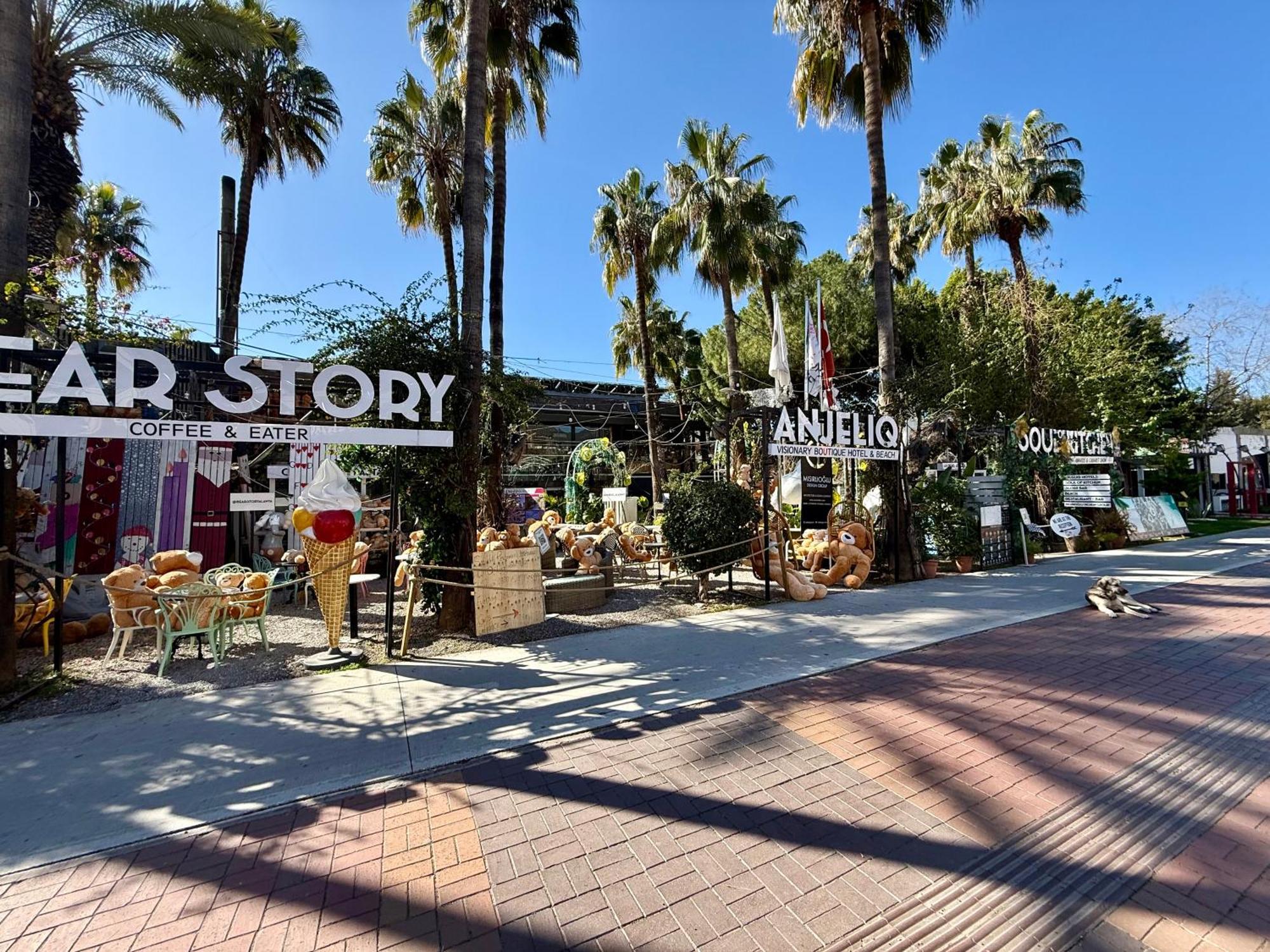 In In The Center By The Sea Lejlighed Alanya