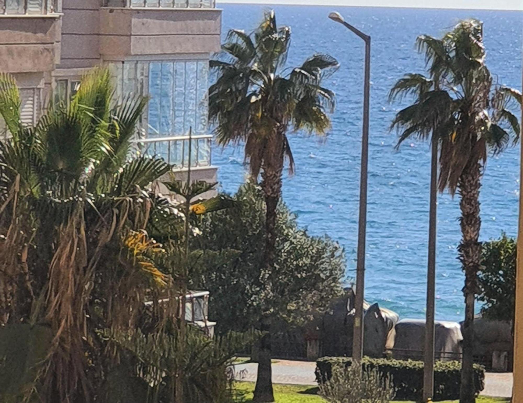 Kleopatra Sun#fantastic Location#new Renovation Apartment