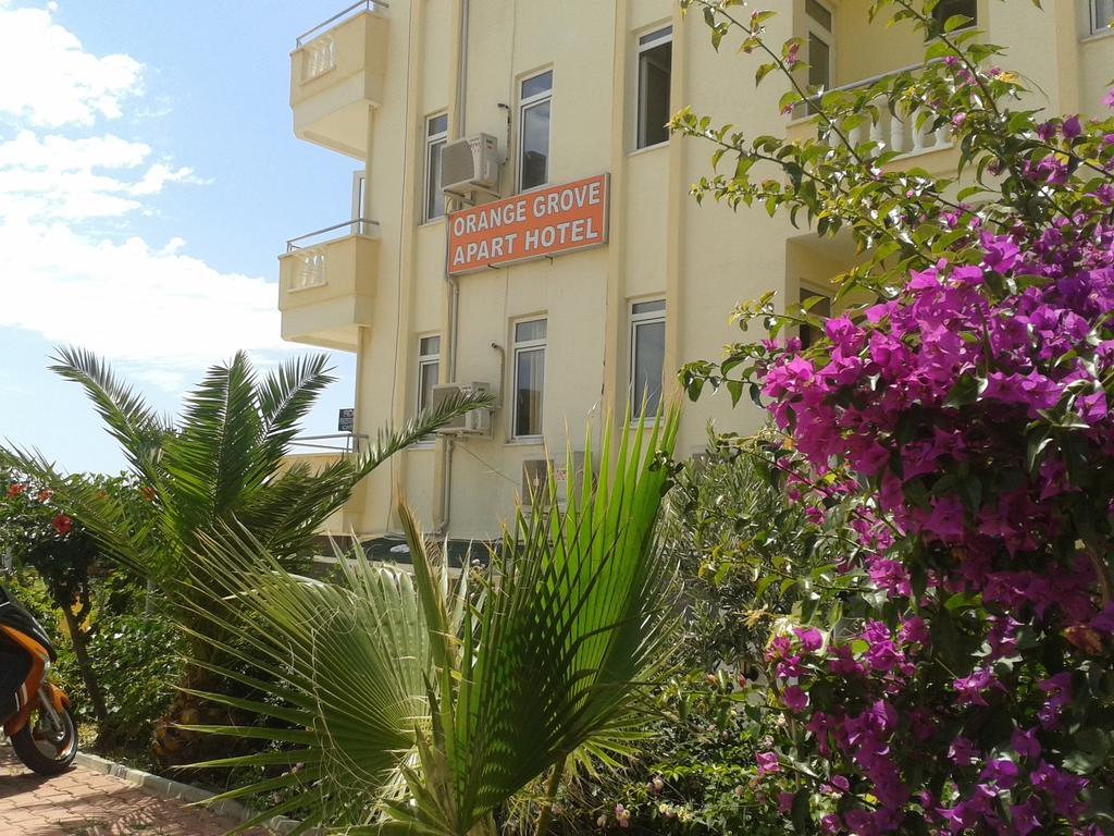 Aparthotel Orange Grove Apart