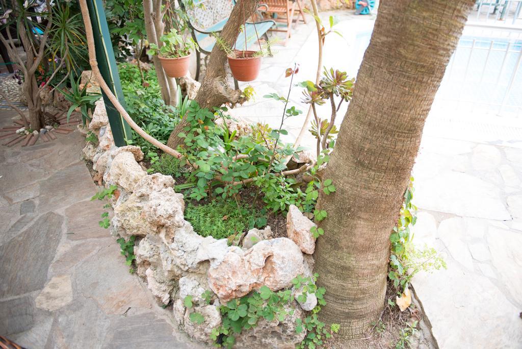 Gasthof Anik Alanya