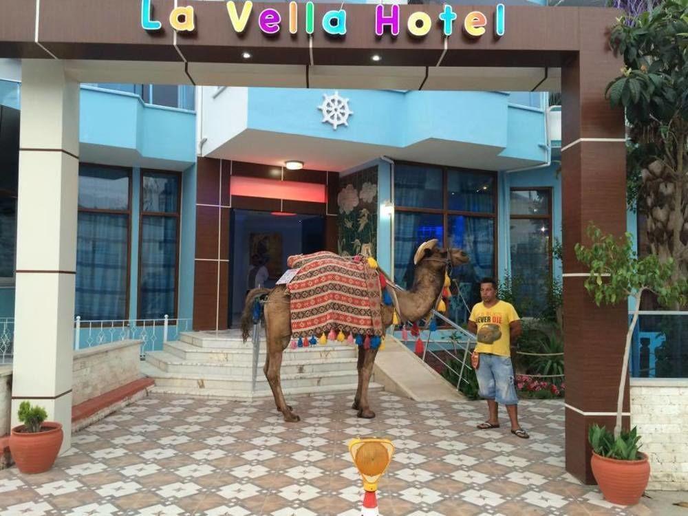 Otel Xo