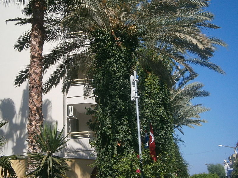 Sifalar Hotel Alanya