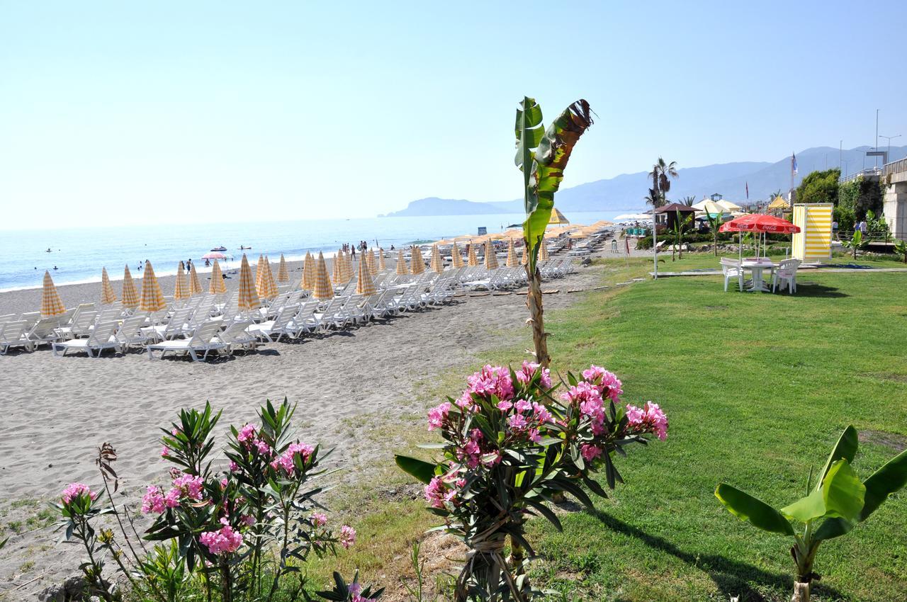Deha 3* Alanya