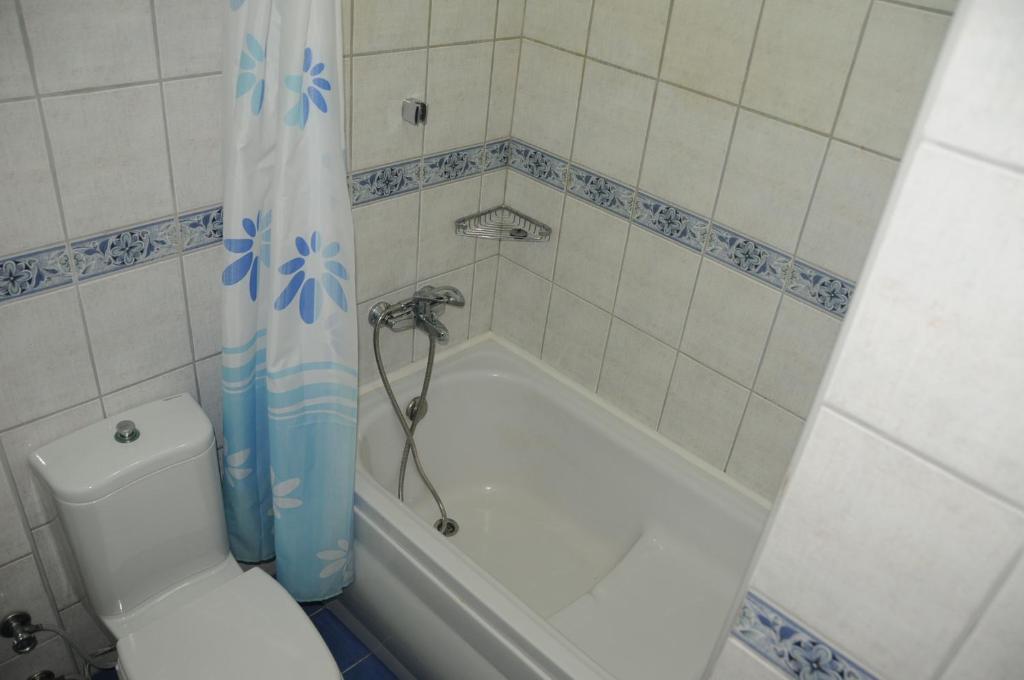 Alin Hotel 3*