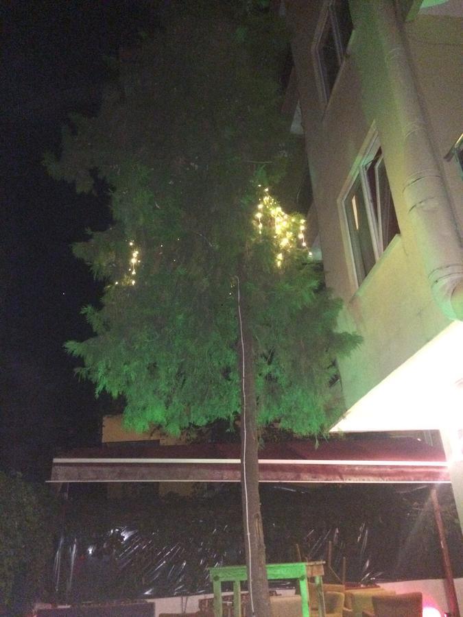 Hotel Demir Alanya