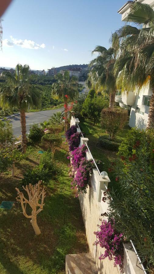 Dinek Mahallesi,eski Antalya Yplu Cad.,uygun Cleopatra 3 Sitesi No:59 Blok:e Daire:2 * Alanya