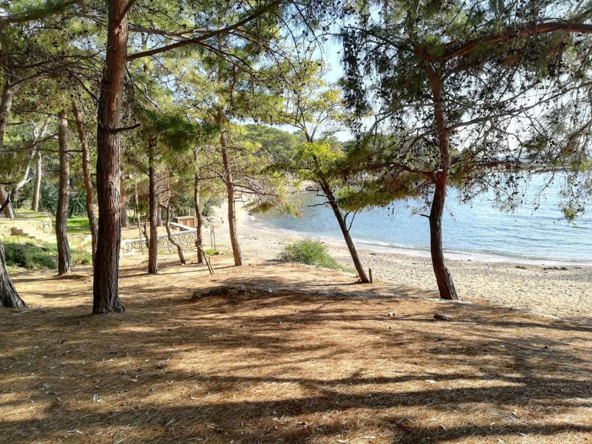 Apartment Forest Park Alanya