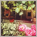 Sahin Guest House