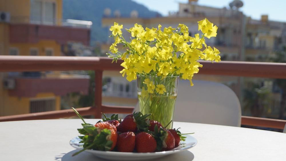 Damlatas Elegant Alanya