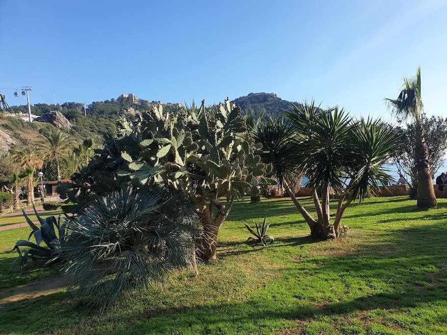 Apartment Sunstar Kleopatra Alanya