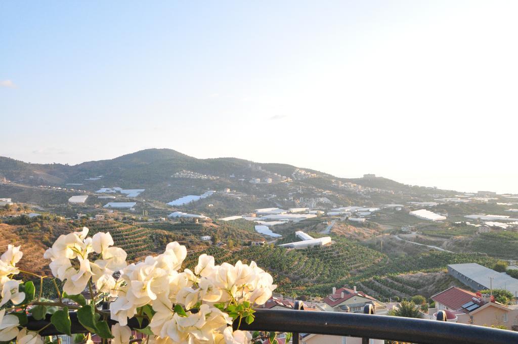 Villa Gold City Villa Alanya