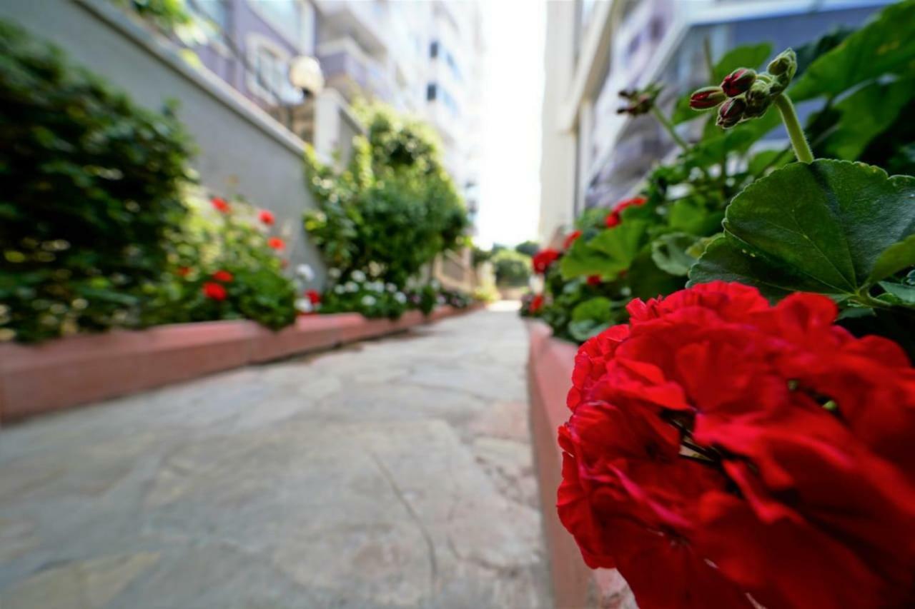 Apartment Best 12 Alanya
