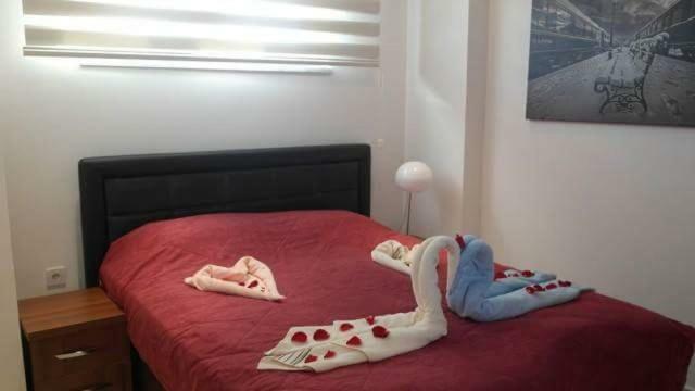 Apartment Vesta Cleopatra 9 *