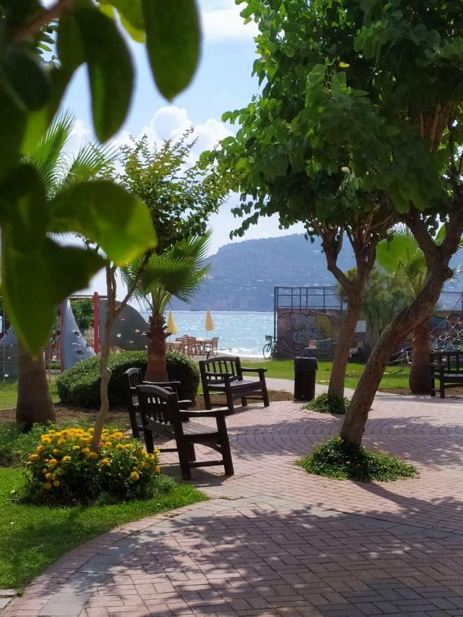 Best 12 * Alanya