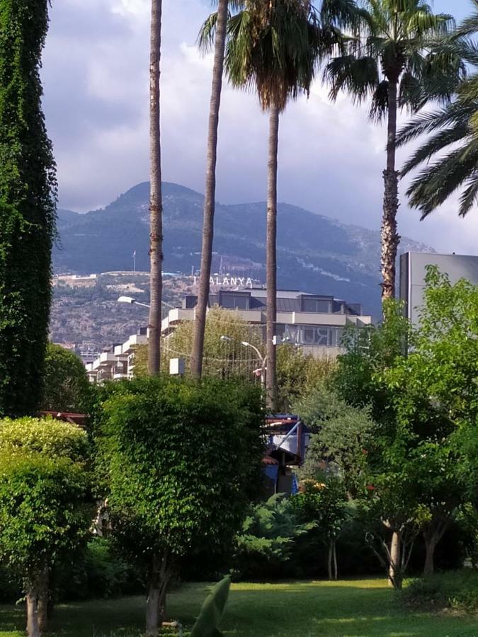 Best 12 * Alanya